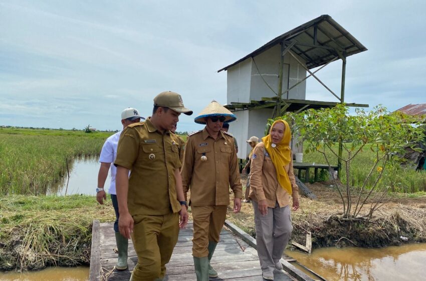  Petani Desa Sungai Pasir Terancam Gagal Panen,Ini Sebabnya