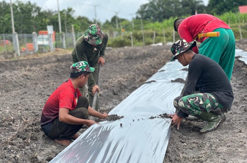  Satgas TMMD Kodim 1012/Buntok Dukung Ketahanan Pangan
