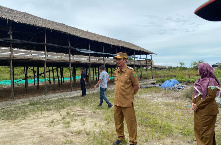 Bupati Sukamara Minta Pengusaha Peternakan Ayam Urus Ijin Sebelum Bangun Kandang