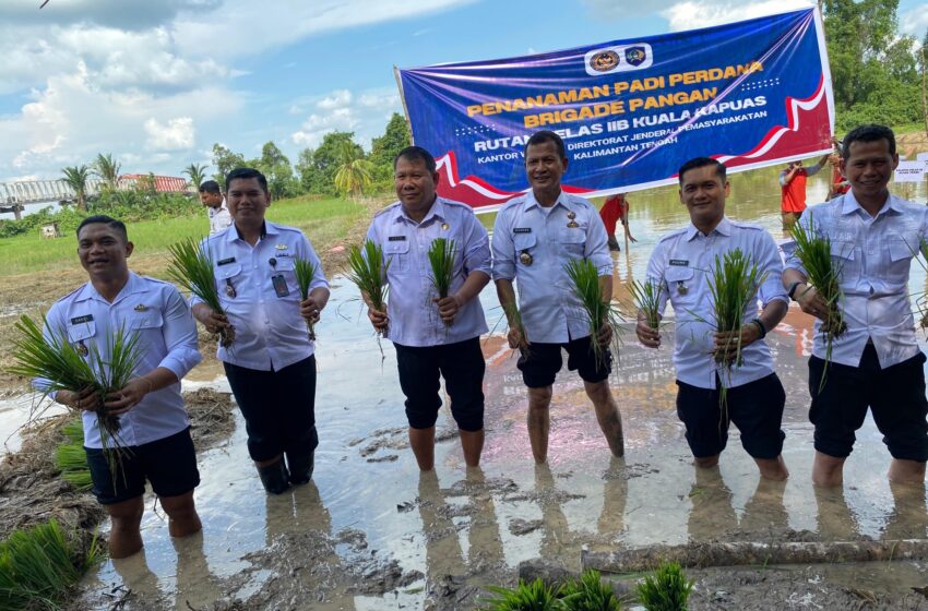  Dukung Asta Cita Presiden, Kakanwil Ditjenpas Kalteng Laksanakan Penanaman Padi Perdana di Lahan Ketahanan Pangan Rutan Kuala Kapuas