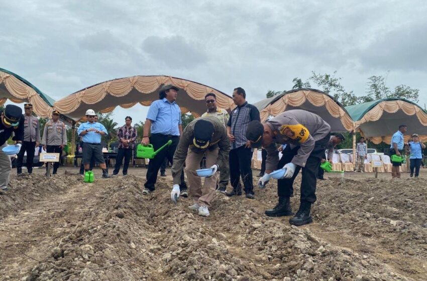  Rendy Lesmana Menghadiri Penanaman Jagung Satu Juta Hektar
