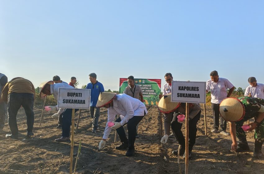  Program Cetak Sawah 1000 Hektar Diharapkan Terlaksana Tahun Ini